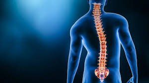 Scoliosis Specialist In Pune